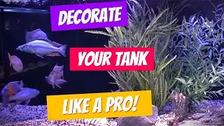 My BEST TIP for Decorating a Tank *FORGET the "RULES"* and DO THIS!