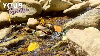 Gentle Sound Of A Mountain Stream. 4K Videos For Sleep, Relaxation and Meditation