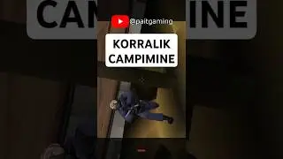 Lambi laager rottidel