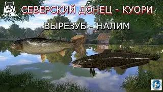 🌟Русская Рыбалка 4 (РР4)🌟СЕВЕРСКИЙ ДОНЕЦ - КУОРИ 🌟 ВЫРЕЗУБ - НАЛИМ 🌟