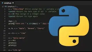 How to build your First Website in python.