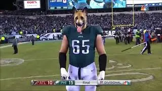 Doug Pederson on Chris Long and Lane Johnson's dog masks