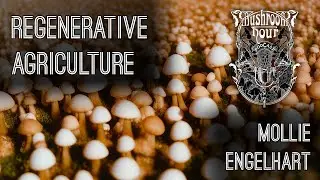 Sage & Sovereignty - Regenerative Agriculture | Mollie Engelhart