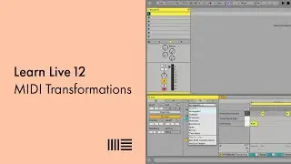 Learn Live 12: MIDI Transformations