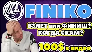 Finiko токен FNK Финико взлет или СКАМ финиш?