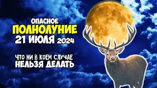 Опасное ПОЛНОЛУНИЕ 21 июля 2024 Что категорически нельзя делать