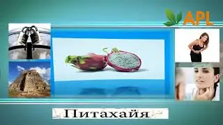 APL GRW NRM SLD GTS Аналогов в мире НЕТ