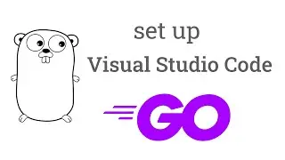 How to Set Up Visual Studio Code for golang ( Go Language )