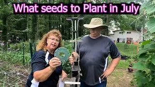 Planting Carrots, Turnips and Beets for Fall Harvest.  What to plant in mid July.