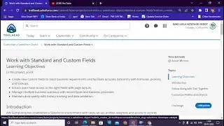 Customize a Salesforce Object | Work with Standard and Custom Fields | one unit