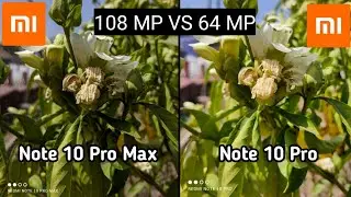 Redmi Note 10 Pro Max Vs Note 10 Pro Camera Comparison | Note 10 pro vs Pro Max camera | Tech4Camera