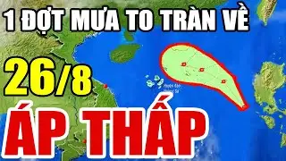 🔴[Trực Tiếp] Dự báo thời tiết hôm nay và ngày mai 26/8/2024 | dự báo thời tiết 3 ngày tới