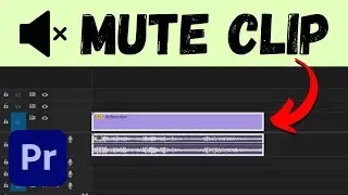 3 Ways MUTE Clips in Premiere Pro