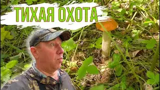 "Тихая охота" в Нижнем Тагиле, 6 августа 2024. 4к.
