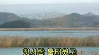 최희준의 - 길