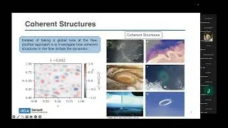 Data-driven prediction of vortex dynamics with hierarchical graph neural networks