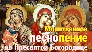 Молитвенное песнопение ко Пресвятой Богородице