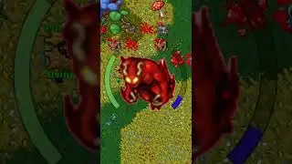 😈[Level 89 BLOCKANDO ORSHABAAL no TIBIA?]🛡️#tibia #mmorpg