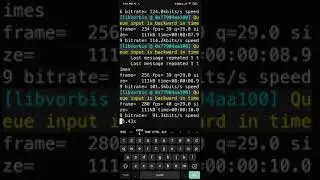 How To Set Start/End Time Showing Subtitles In Video For .ASS With FFMPEG