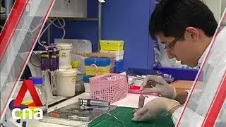 Singapore scientists identify nutritional needs of cancer stem cells