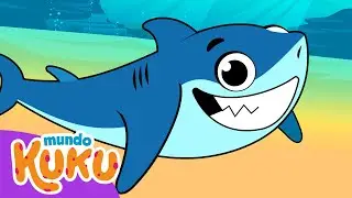 Los Animales del Mar para Niños en Preescolar 🐳 Mundo Kuku