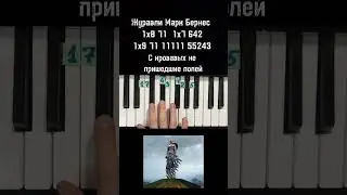 Марк Бернес Журавли на пианино 🎹 Обучение ноты в конце видео