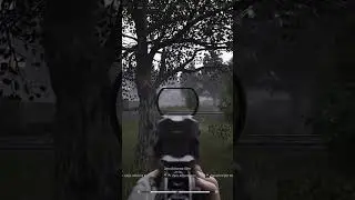 Arena Breakout Perfect headshot  