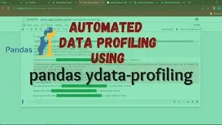 Automated Data Profiling using ydata-profiling on Pandas Dataframe - 