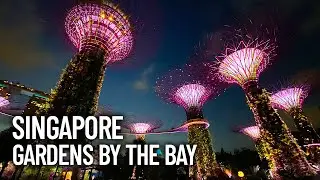 Gardens by the Bay Singapore at Night - Supertree Observatory Walking Tour