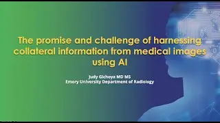 Brainmap:The promise and challenge of harnessing collateral Information from Medical Images using AI