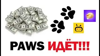 Предупреждение: эта ошибка в проекте PAWS может обойтись вам в тысячи долларов