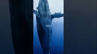 Факты о животных, которые тебя шокируют 