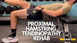 How to Rehab Proximal Hamstring Tendinopathy [for runners]