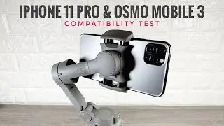 iPhone 11 Pro Max & DJI Osmo Mobile 3 Compatibility