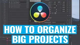 How To Organize BIG PROJECTS in DaVinci Resolve