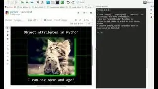 Different ways to use objects and attributes in Python