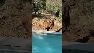 Так, ребят, тут такое дело... Я конечно уважаю ваше личное пространство..."