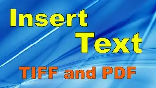 How to insert text in TIFF or PDF file | Advanced TIFF Editor