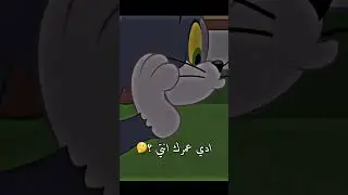 حالات واتس اب❤️🥺ستوريات انستغرام💖🤤حالات حب 2023 للعشاق❣️ حالات مضحكة😂🙂🌚