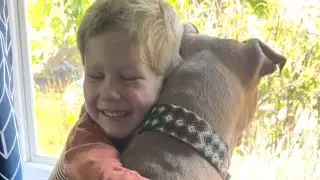 Shy pitbull is so loving to her new friend