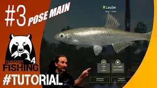 Russian Fishing 4 - Anfänger Tutorial Pose 3 - Stippen, Windenbach, Hasel und Laube