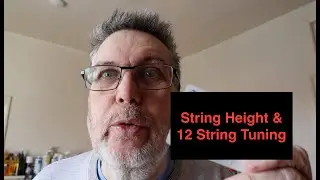 How to set-up a 12 string guitar part 1 (Tuning and String Height)