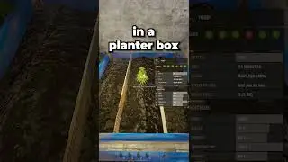 How To EASILY Get God Clones in Rust! 🌱🙏