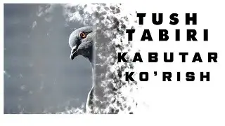 Tushda Kabutar Korish Tabiri