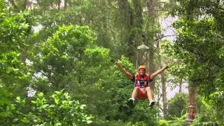 Zipline Tour at Illawarra Fly Treetop Adventures