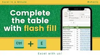 FLASH FILL SHORTCUT IN EXCEL 