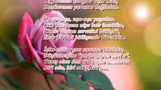 dost