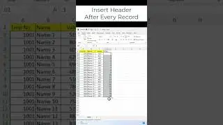 #shorts | Insert Header After Every One Records in Excel