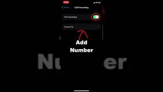 Call Forwarding Setup on iPhone