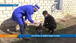 Ветконтроль усилят в ЗКО